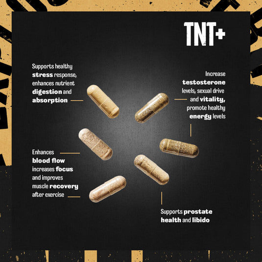 Animal TNT+ pill explainer