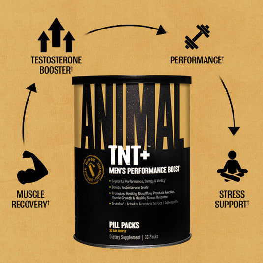 Animal TNT+ lifestyle