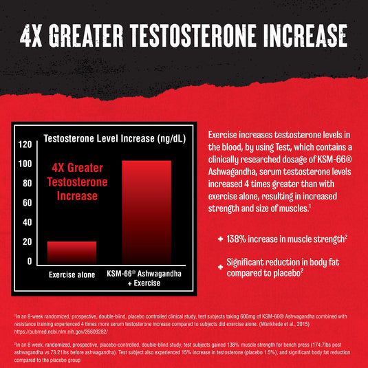 Animal Test testosterone graph