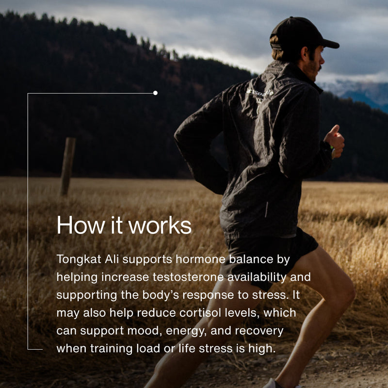 Load image into Gallery viewer, Momentous - Tongkat Ali
