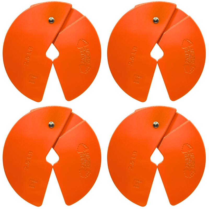 Load image into Gallery viewer, Micro Gainz Orange 2.5LB Dumbbell Fractional Weight Plates
