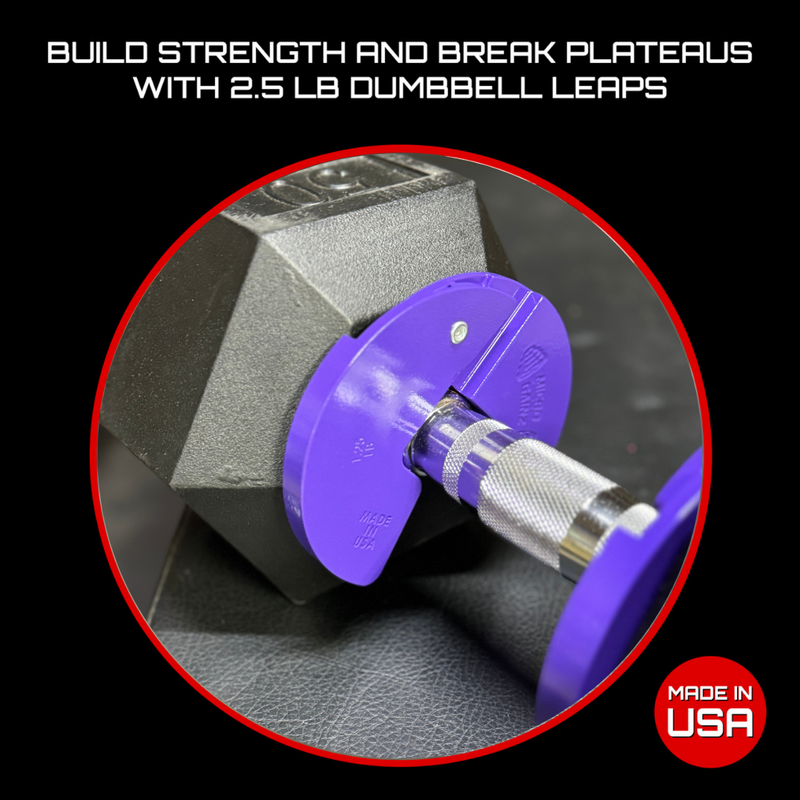 Load image into Gallery viewer, Micro Gainz - Micro Gainz 1.25LB Dumbbell Fractional Weight Plate
