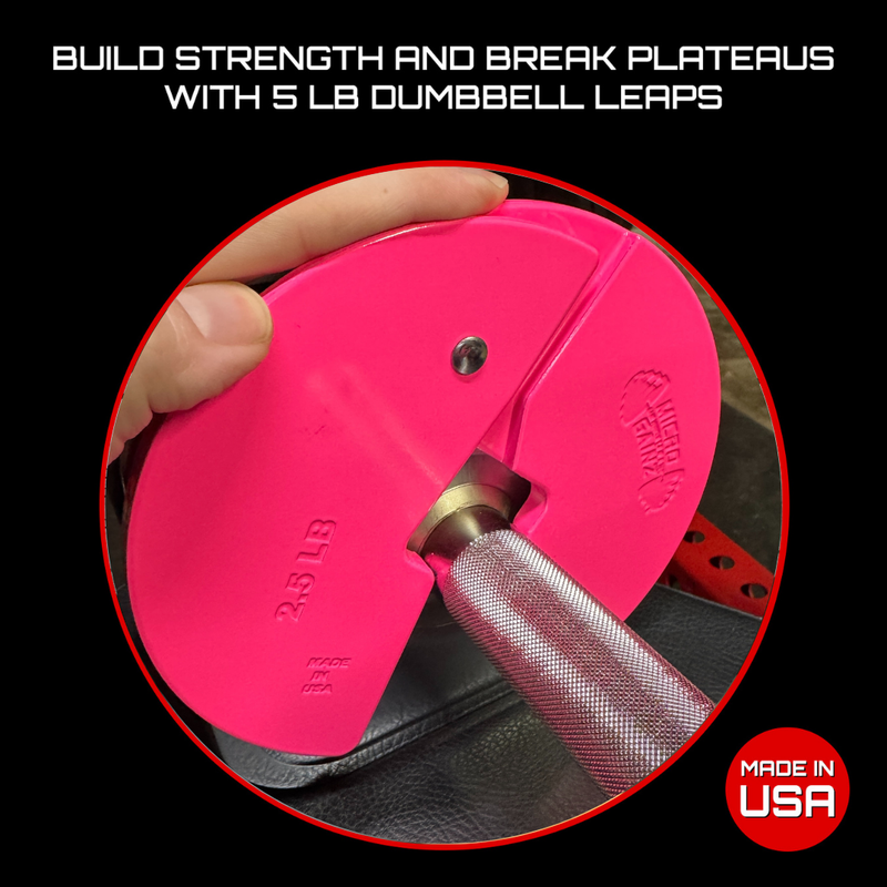 Load image into Gallery viewer, Micro Gainz Pink 2.5LB Dumbbell Fractional Weight Plates
