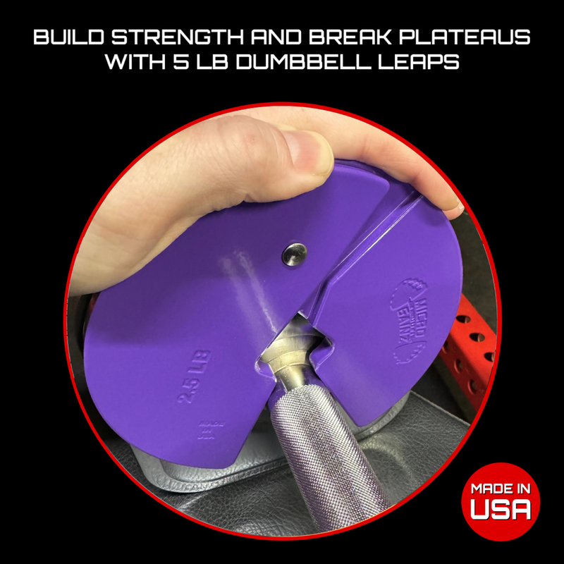 Load image into Gallery viewer, Micro Gainz Purple 2.5LB Dumbbell Fractional Weight Plates
