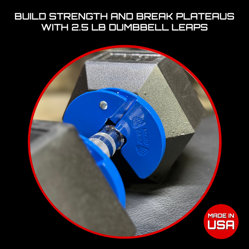 Load image into Gallery viewer, Micro Gainz Blue 1.25LB Dumbbell Fractional Weight Plates
