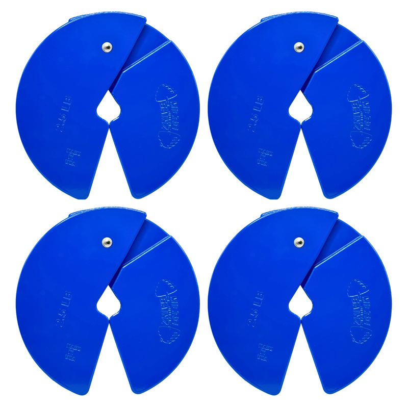 Load image into Gallery viewer, Micro Gainz Blue 2.5LB Dumbbell Fractional Weight Plates
