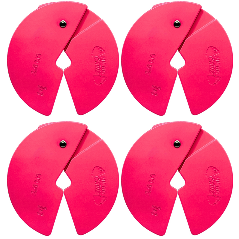 Load image into Gallery viewer, Micro Gainz Pink 2.5LB Dumbbell Fractional Weight Plates
