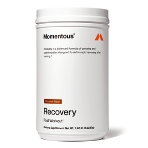 Momentous - In Recovery