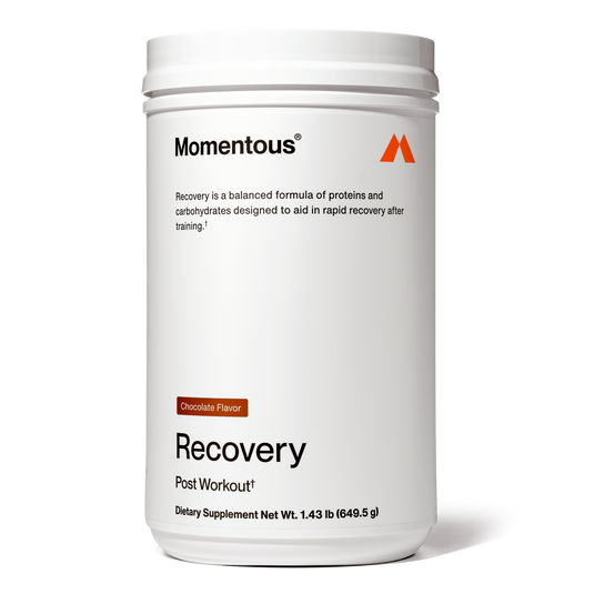 Momentous - In Recovery