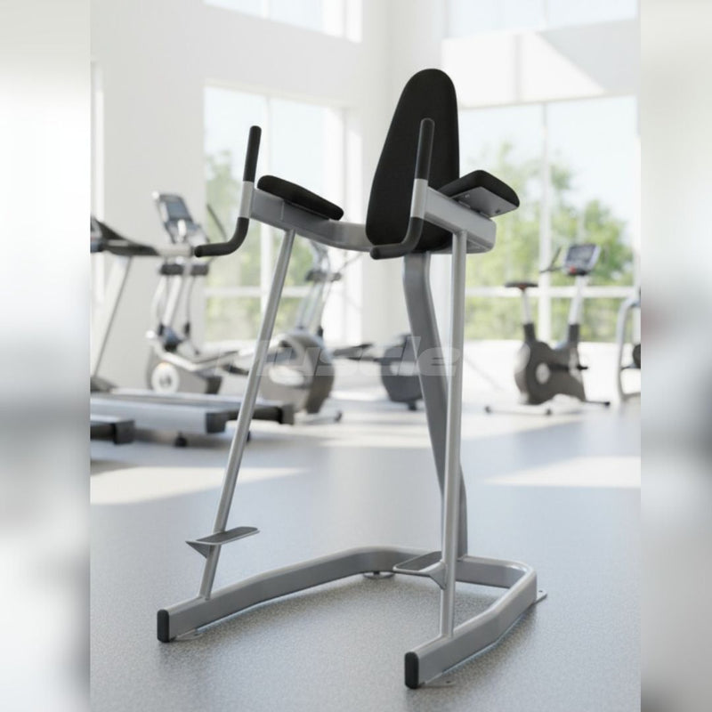 Load image into Gallery viewer, Muscle D Fitness - Vertical Knee Raise - Elite Series - Sturdy Vertical Knee Raise
