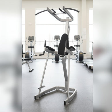 Muscle D Fitness - Vertical Knee Raise with Pull Up Station - Commercial