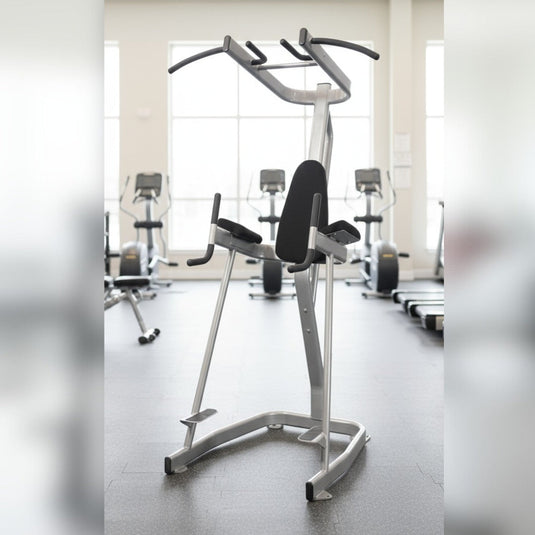 Muscle D Fitness - Vertical Knee Raise with Pull Up Station - Commercial