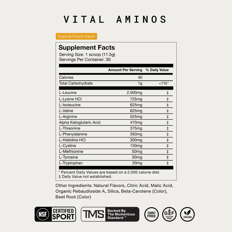 Load image into Gallery viewer, Momentous - Vital Aminos

