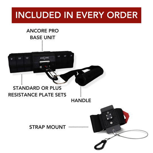 ANCORE - ANCORE Pro