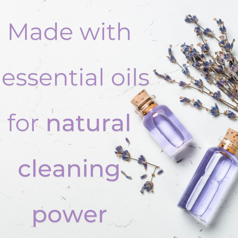 Load image into Gallery viewer, Wipex Co. - Natural Yoga Mat Wipes | Soft, Plant-Based, Infused With Essential Oils
