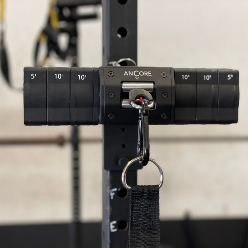 Load image into Gallery viewer, ANCORE - Rack Mount
