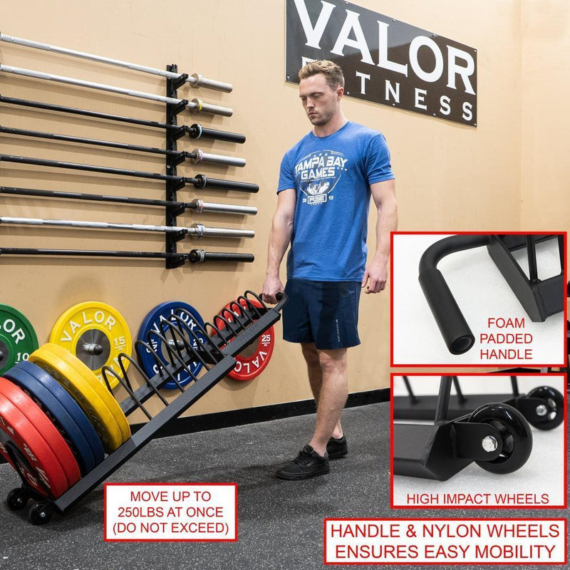 Load image into Gallery viewer, Valor Fitness - Horizontal Weight Plate Storage Rack
