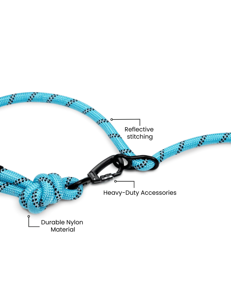 Load image into Gallery viewer, Runner's Athletics - Aqua Blue Runners Hands-Free Dog Leash

