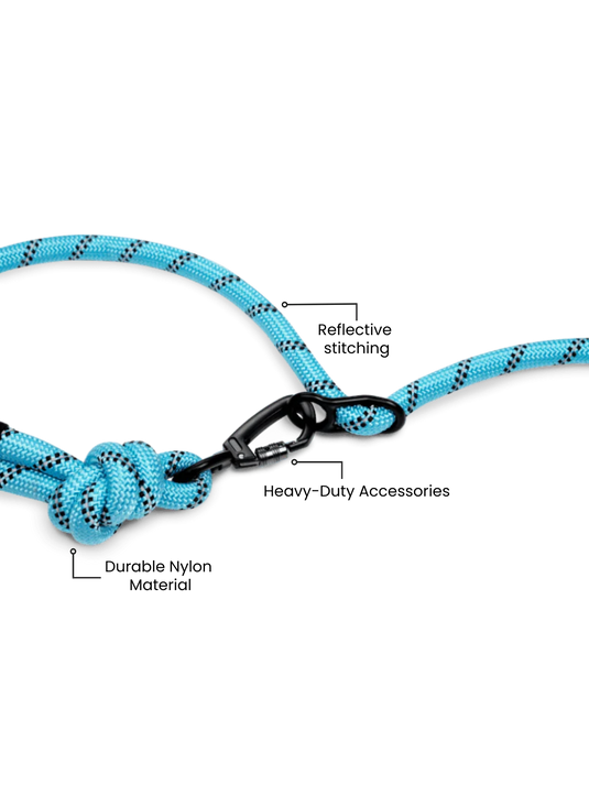 Runner's Athletics - Aqua Blue Runners Hands-Free Dog Leash