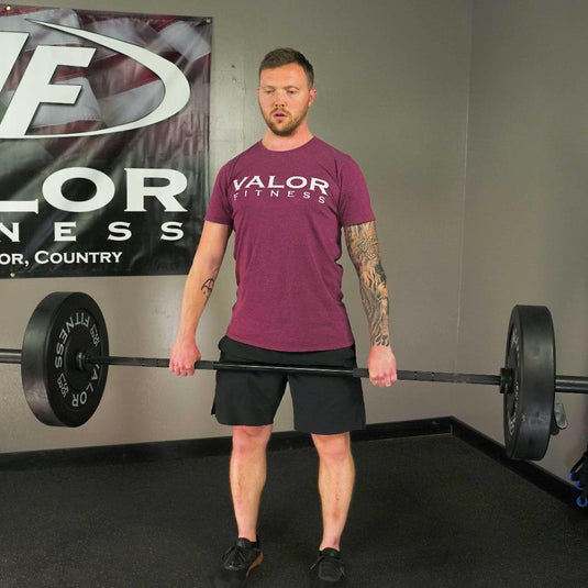 Valor Fitness - Rubber Bumper Plates (LB)