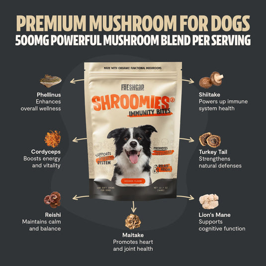 FreshCap Mushrooms - Shroomies® Organic Mushroom Complex for Dogs