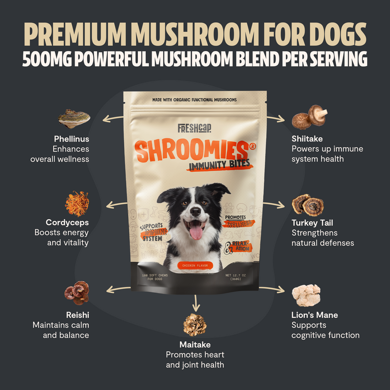 Load image into Gallery viewer, FreshCap Mushrooms - Shroomies® Organic Mushroom Complex for Dogs
