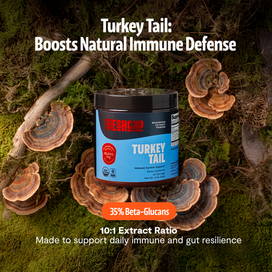 FreshCap Mushrooms - Organic Turkey Tail Mushroom Powder