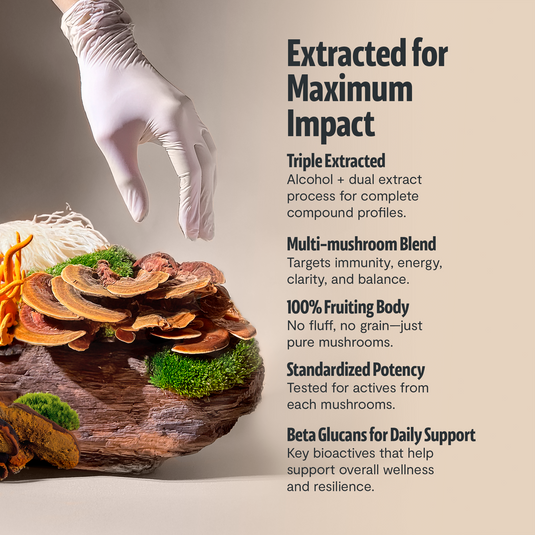 FreshCap Mushrooms - Organic Mushroom Extract Powder Blend