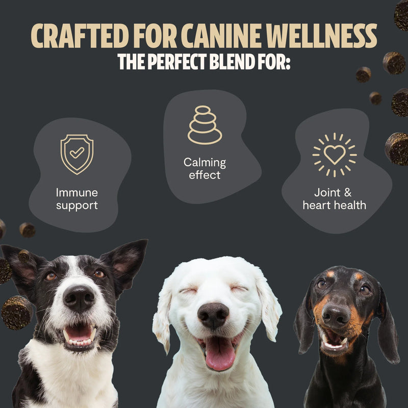 Load image into Gallery viewer, FreshCap Mushrooms - Shroomies® Organic Mushroom Complex for Dogs
