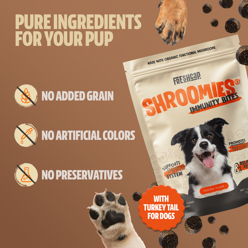 Load image into Gallery viewer, FreshCap Mushrooms - Shroomies® Organic Mushroom Complex for Dogs
