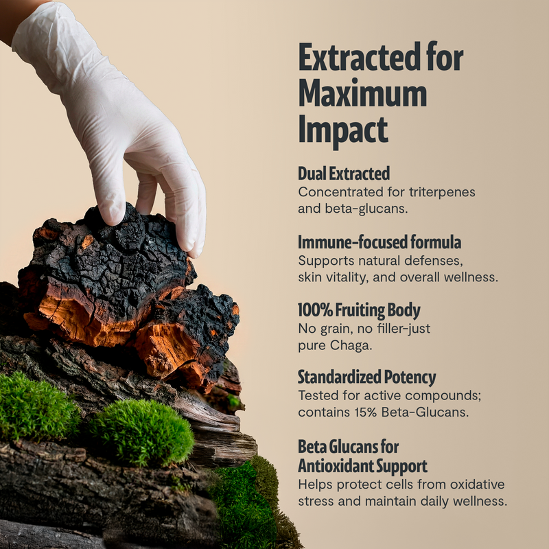Load image into Gallery viewer, FreshCap Mushrooms - Chaga Mushroom Extract Capsules
