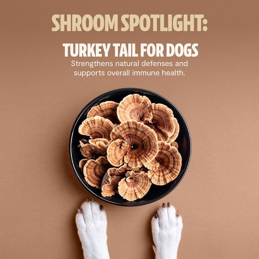 FreshCap Mushrooms - Shroomies® Organic Mushroom Complex for Dogs