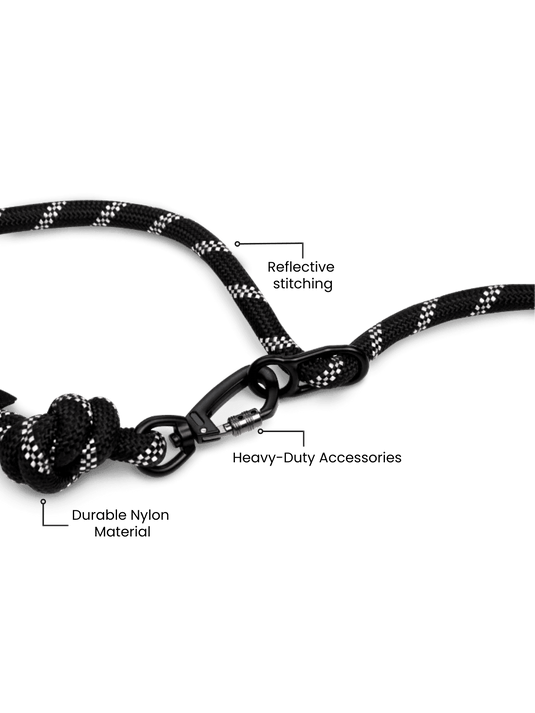 Blackout Running Hands-Free Dog Leash