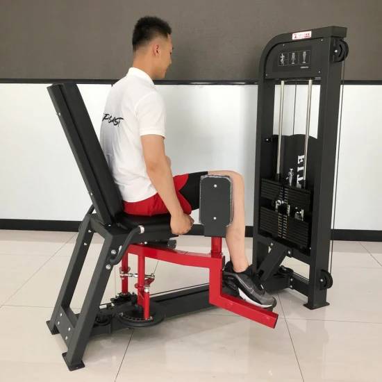 Load image into Gallery viewer, SFE Commercial Inner &amp; Outer Thigh Machine (New)

