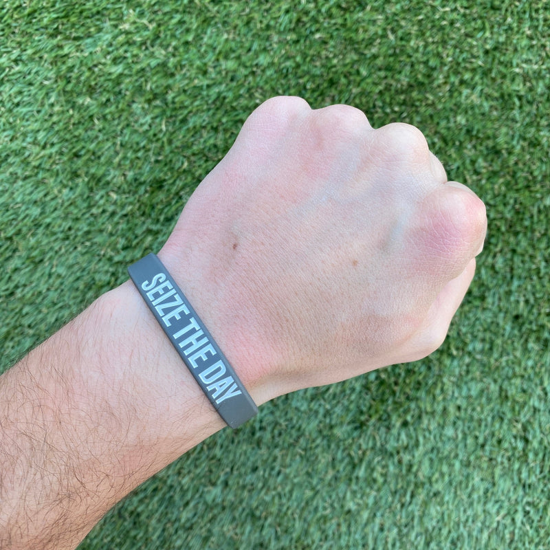 Load image into Gallery viewer, Elite Athletic Gear - Seize the Day Wristband
