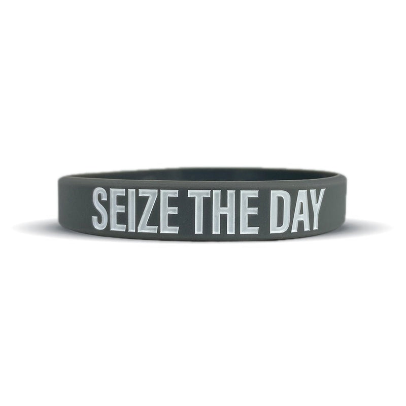 Load image into Gallery viewer, Elite Athletic Gear - Seize the Day Wristband
