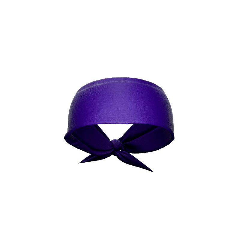 Load image into Gallery viewer, Elite Athletic Gear - Purple Tie Headband
