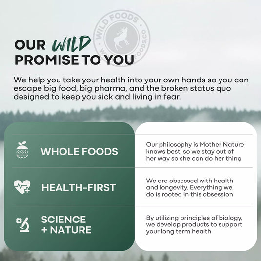 Wild Foods - Methylated Whole Food Multivitamin - Vitamins & Supplements