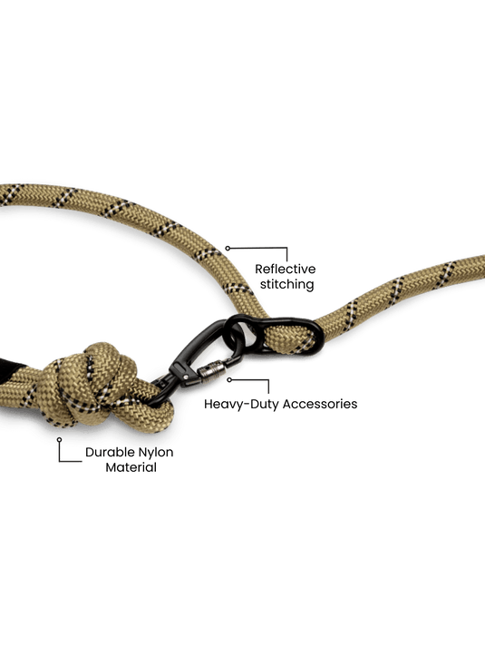 Runner's Athletics - Olive Green Runners Hands-Free Dog Leash