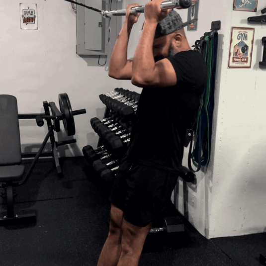 Squat Harness - Ripped Straps