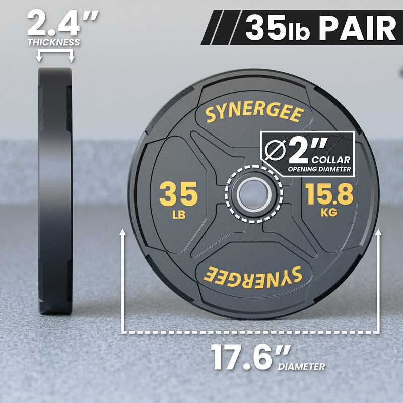 Load image into Gallery viewer, Synergee - Ez Grip Bumper Plates
