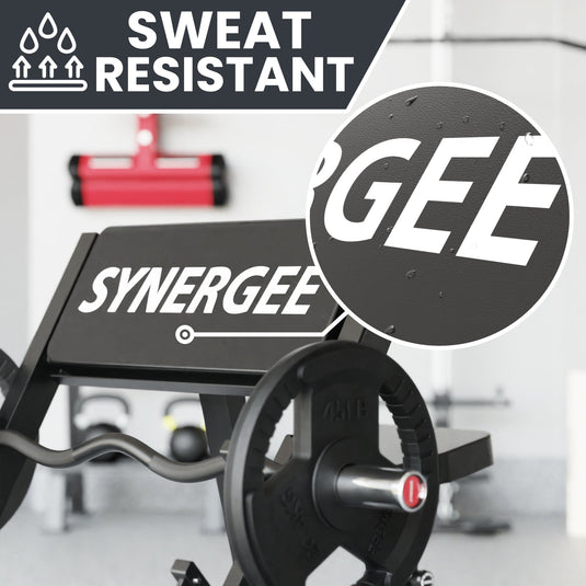 Synergee - Preacher Curl Bench