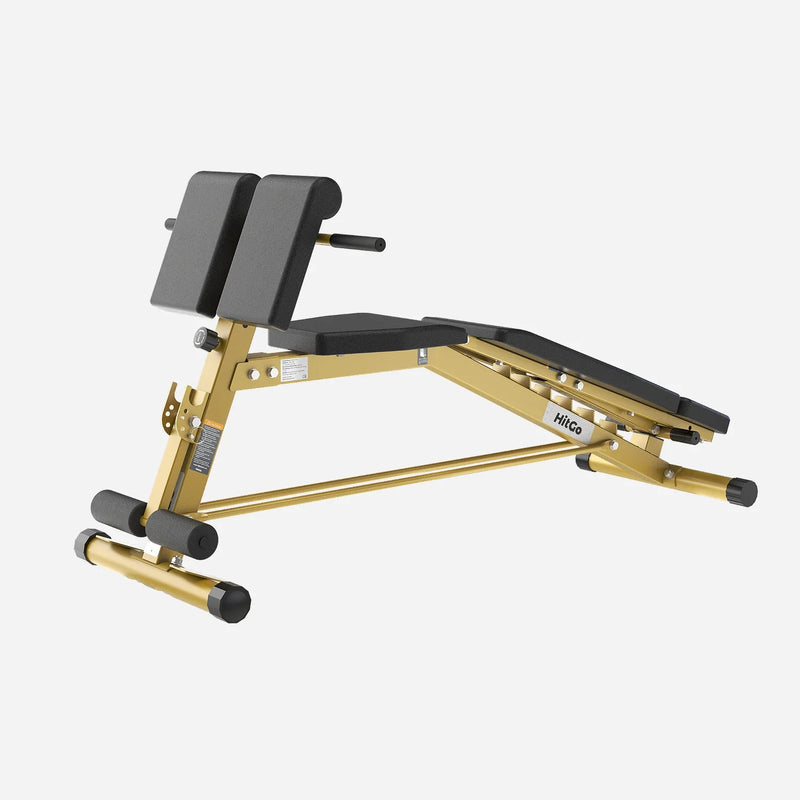 Load image into Gallery viewer, WalkingPad - MATE-WB1 Roman Chair - Weight Bench
