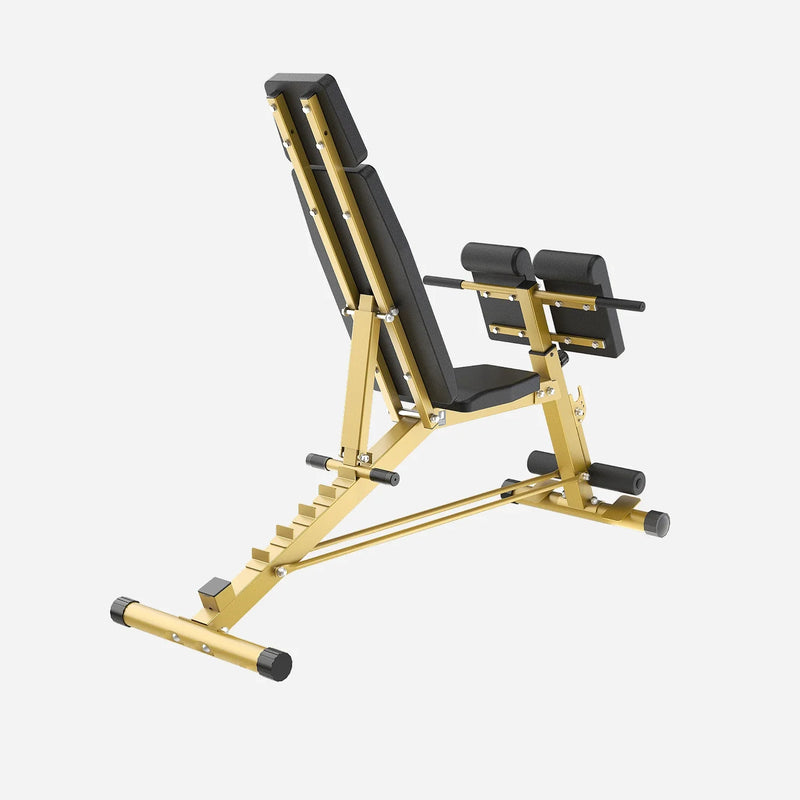 Load image into Gallery viewer, WalkingPad - MATE-WB1 Roman Chair - Weight Bench

