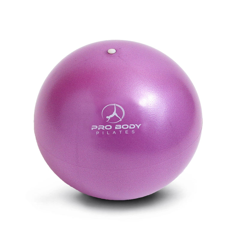 Load image into Gallery viewer, ProBody Pilates - 9 Inch Small Exercise Ball for Stability, Barre, Pilates, Yoga, and Balance
