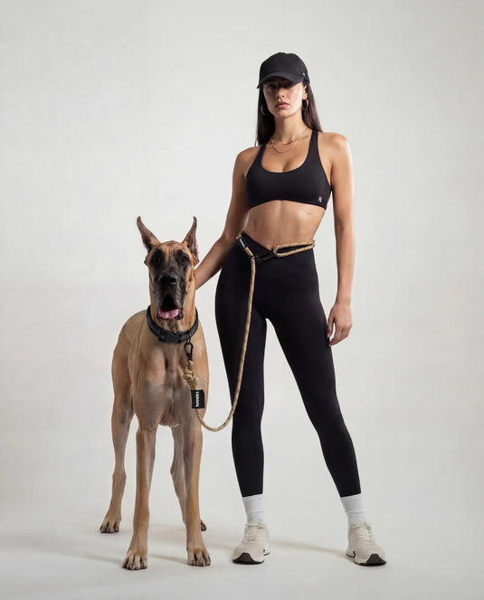 Runner's Athletics - Olive Green Runners Hands-Free Dog Leash