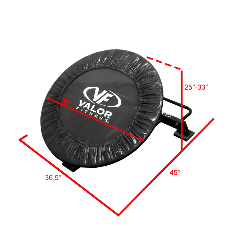 Load image into Gallery viewer, Valor Fitness - Medicine Ball Rebounder Trampoline
