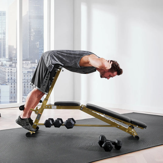 WalkingPad - MATE-WB1 Roman Chair - Weight Bench
