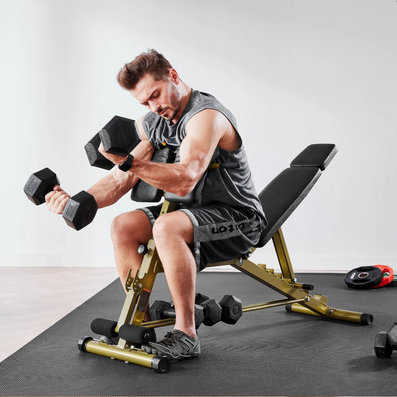 Load image into Gallery viewer, WalkingPad - MATE-WB1 Roman Chair - Weight Bench
