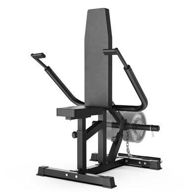 Synergee - Seated Dip Machine